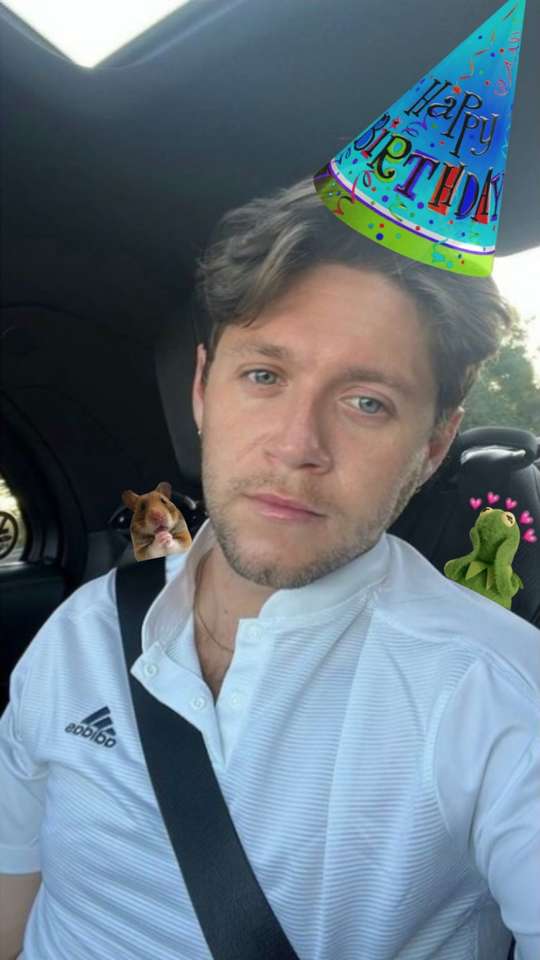 HBD NIALL HORAN online παζλ