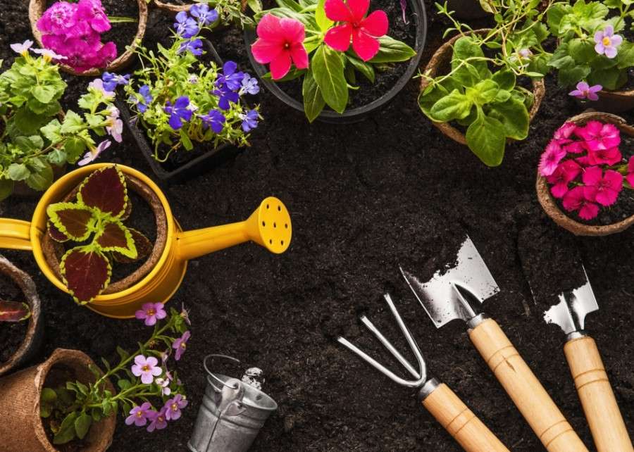 Cultiver des fleurs dans le jardin puzzle en ligne
