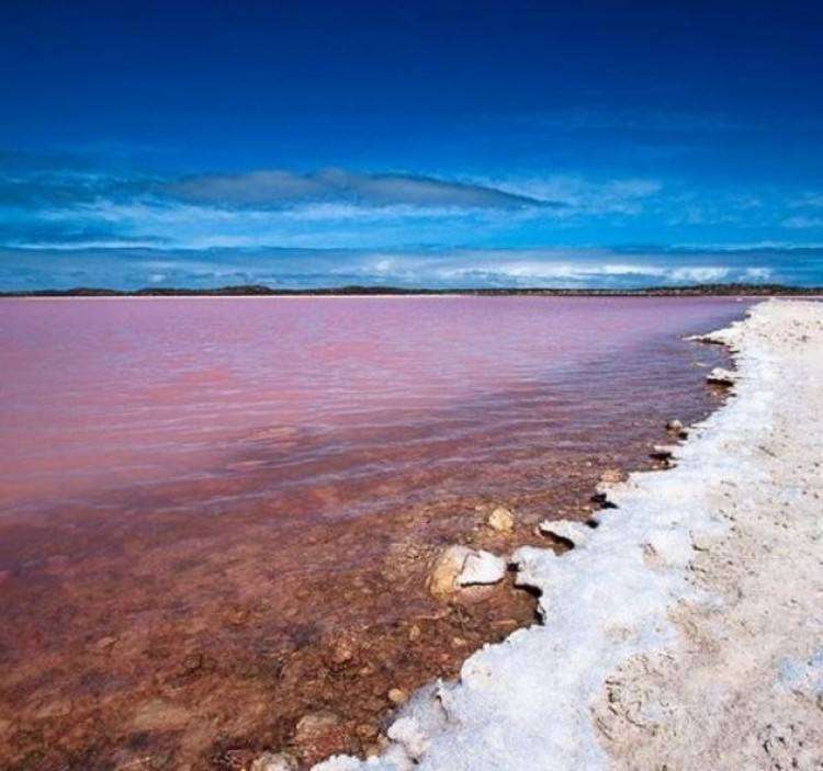 růžové jezero v austrálii online puzzle