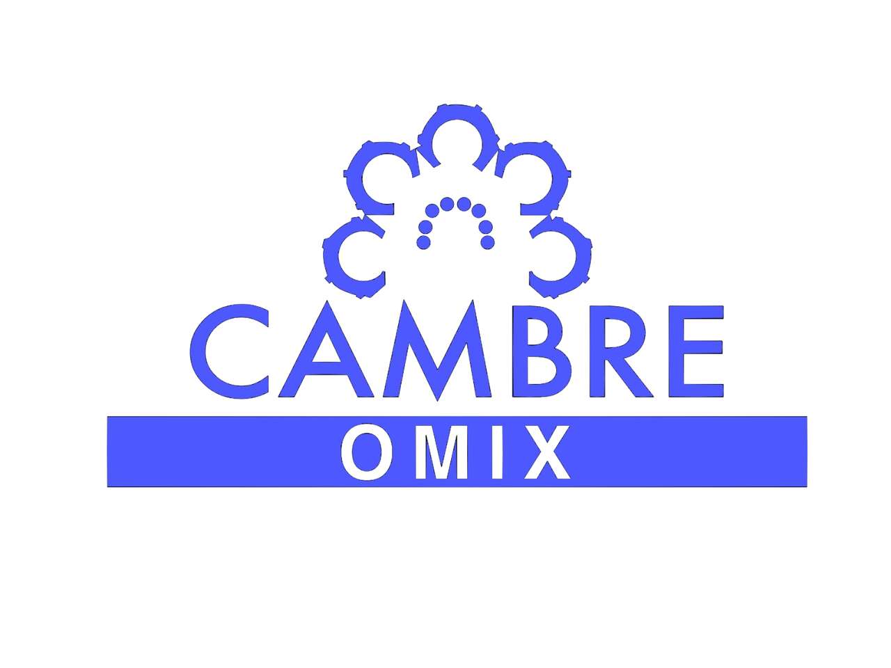 Omix Cambre онлайн пъзел