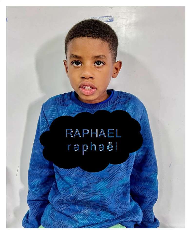 Raphael R. pussel på nätet
