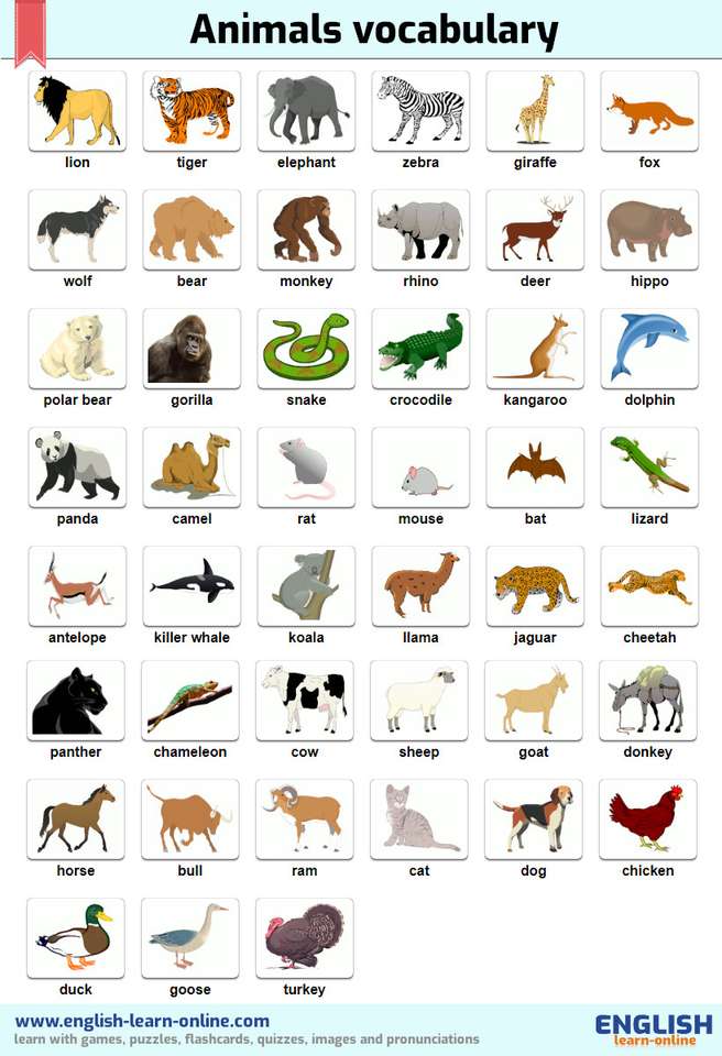 animaux pour cours d'anglais puzzle en ligne
