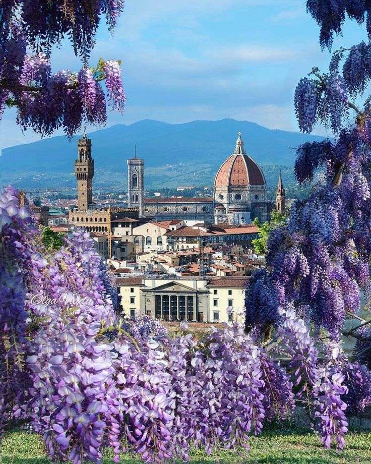 krásná Florencie skládačky online