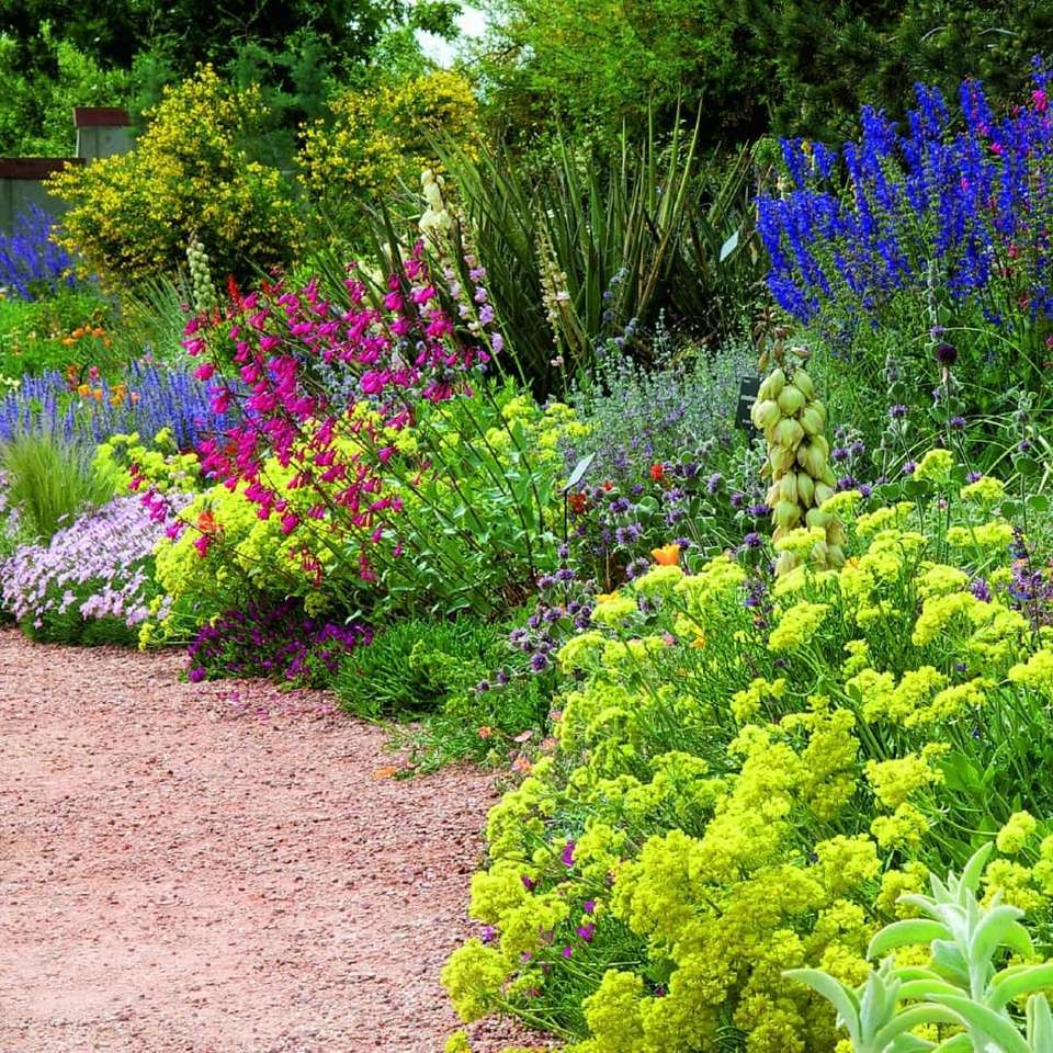 Flower beds by the path jigsaw puzzle online