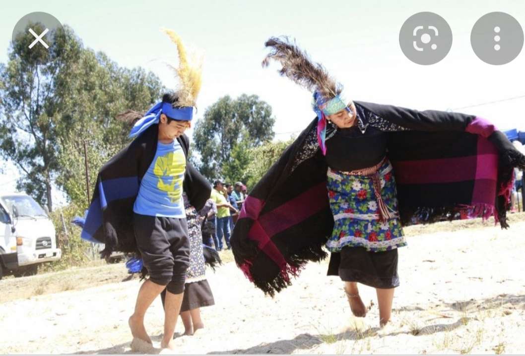 Mapuches puzzle online