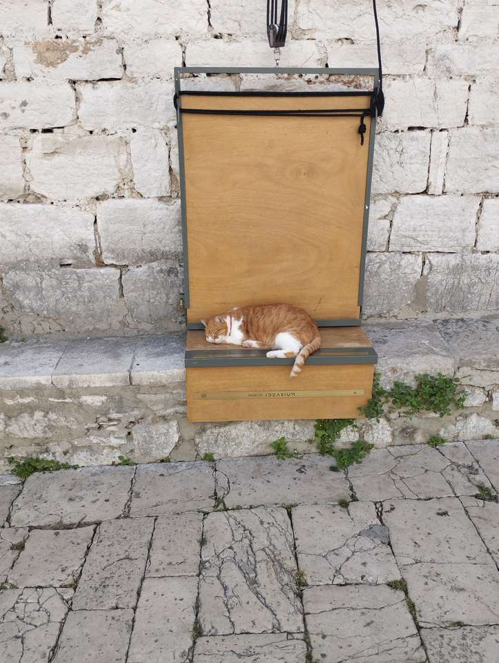 Γάτα που κοιμάται, Σίμπενικ online παζλ