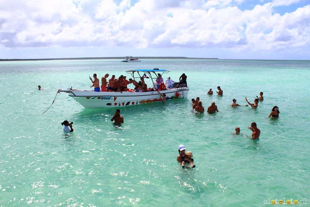 Saona. Uma ilha tropical no mar do Caribe puzzle online