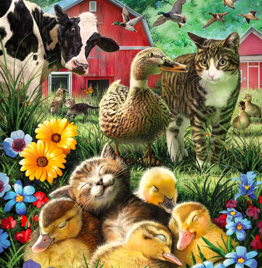 Amitiés à la ferme, chatons et canetons, un canard :) puzzle en ligne