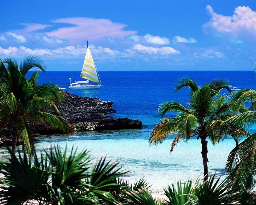 Тропически остров онлайн пъзел