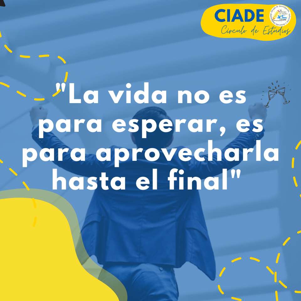 CIADE WII puzzle online
