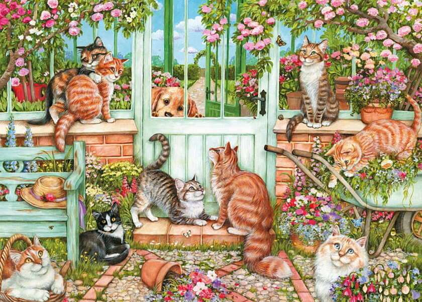 Gattini che vogliono uscire #230 puzzle online