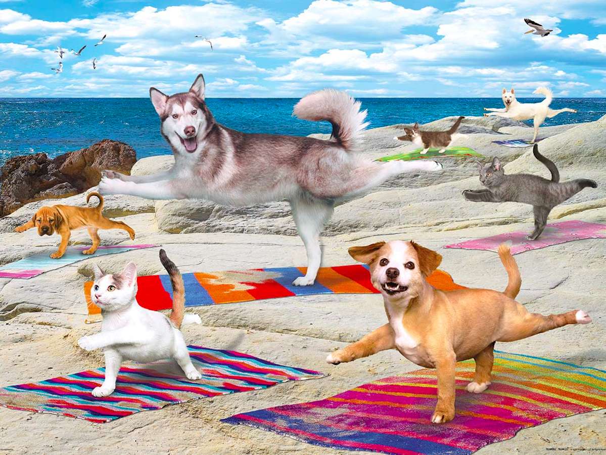 Yoga op het strand voor de lol :) legpuzzel online