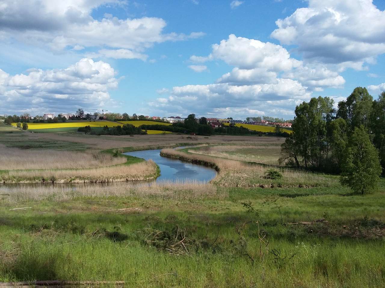 río Łyna rompecabezas en línea