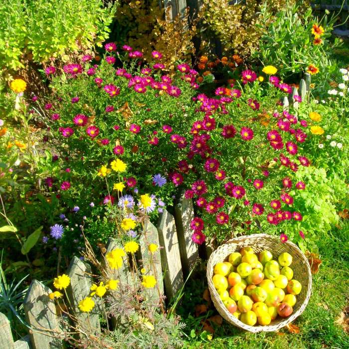 Flowers in the countryside and quince jigsaw puzzle online