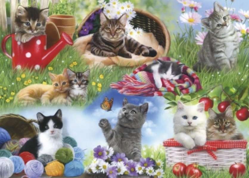 Koťata na zahradě #236 online puzzle