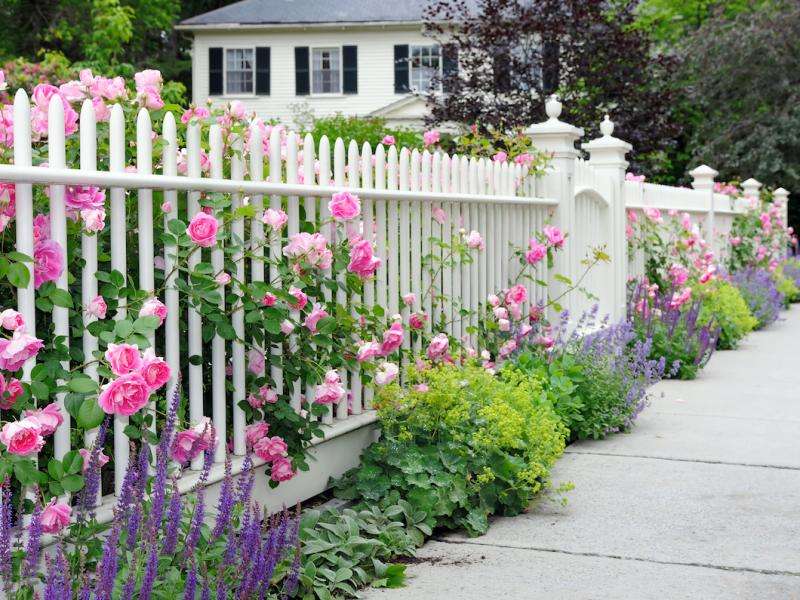 Virágok a kerítés mellett online puzzle