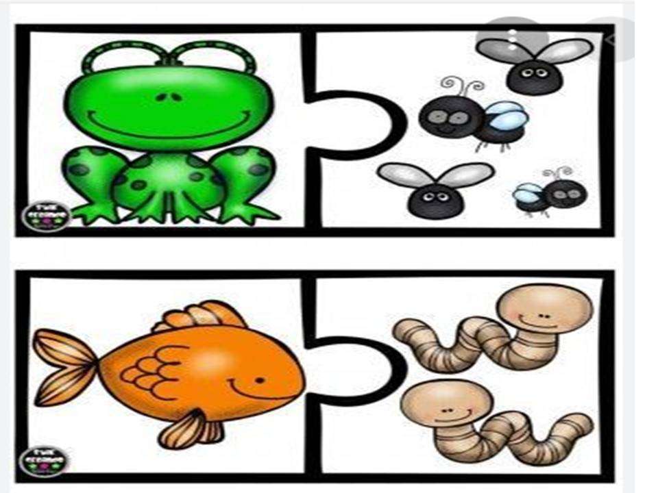food chain jigsaw puzzle online