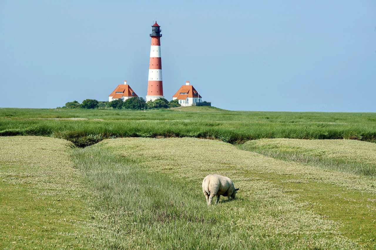 Phare Sea Tower Westerhever Moutons de la Mer du Nord puzzle en ligne
