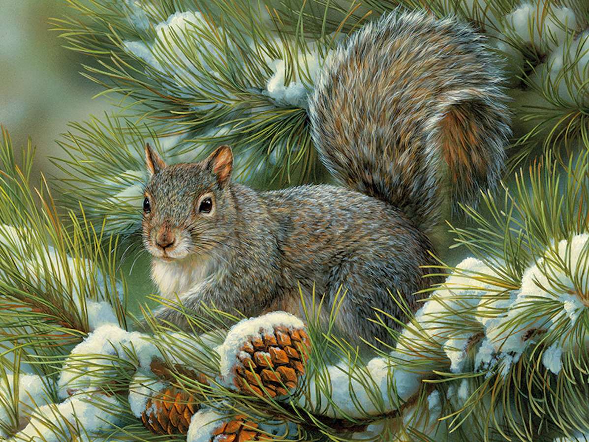 Grijze schattige eekhoorn online puzzel