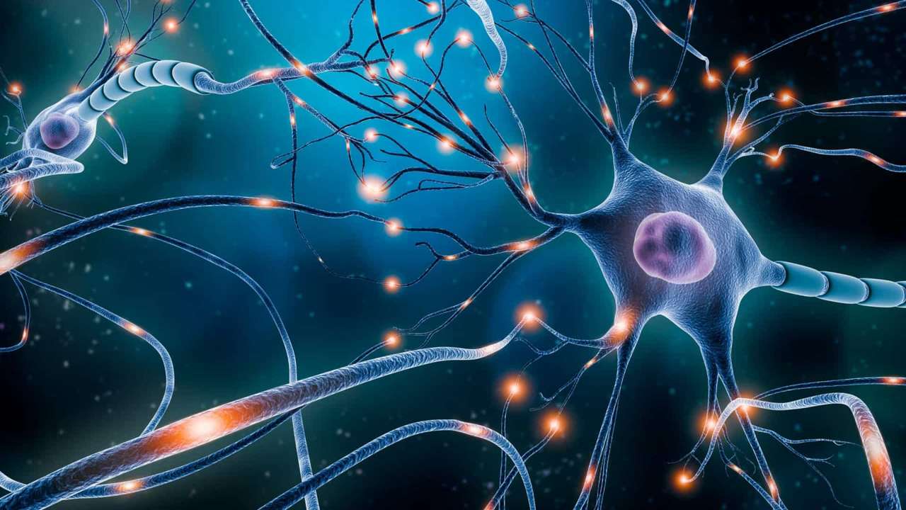 Neuron Puzzlespiel online