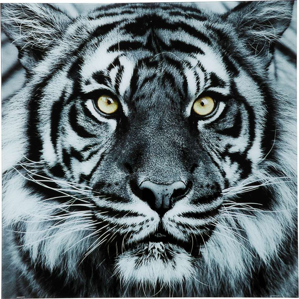 fehér tigris online puzzle