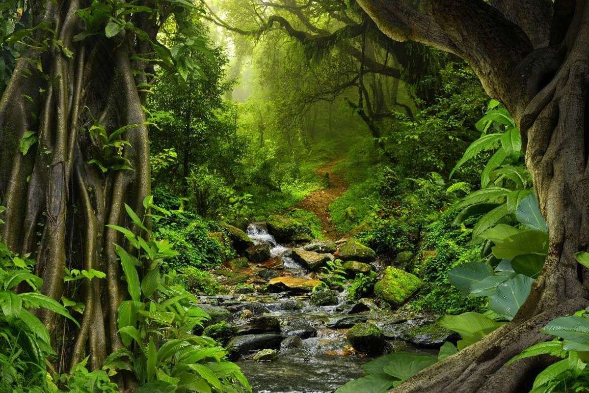 Джунгла - Тропическа гора онлайн пъзел