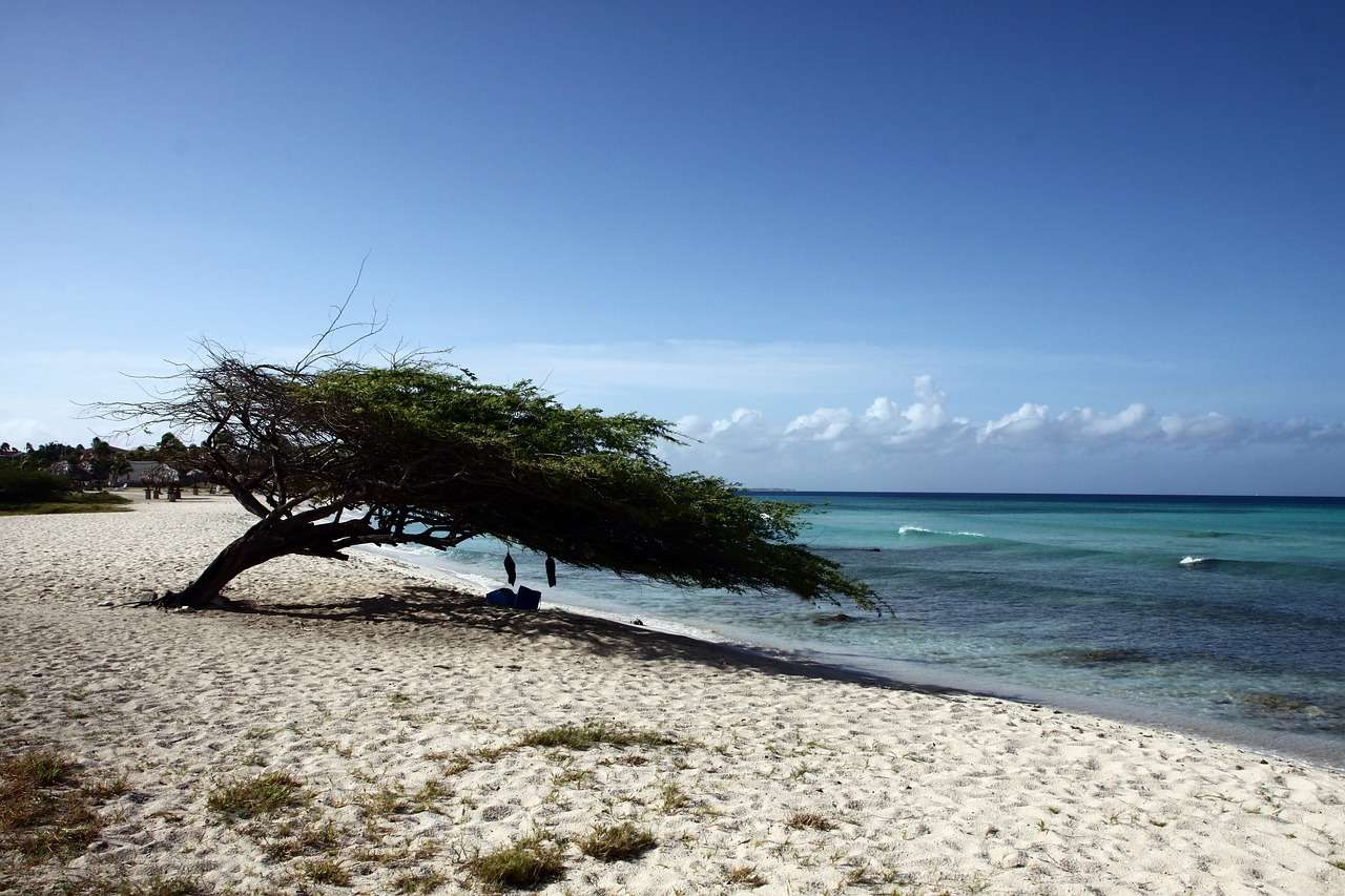 Stranden Aruba pussel på nätet