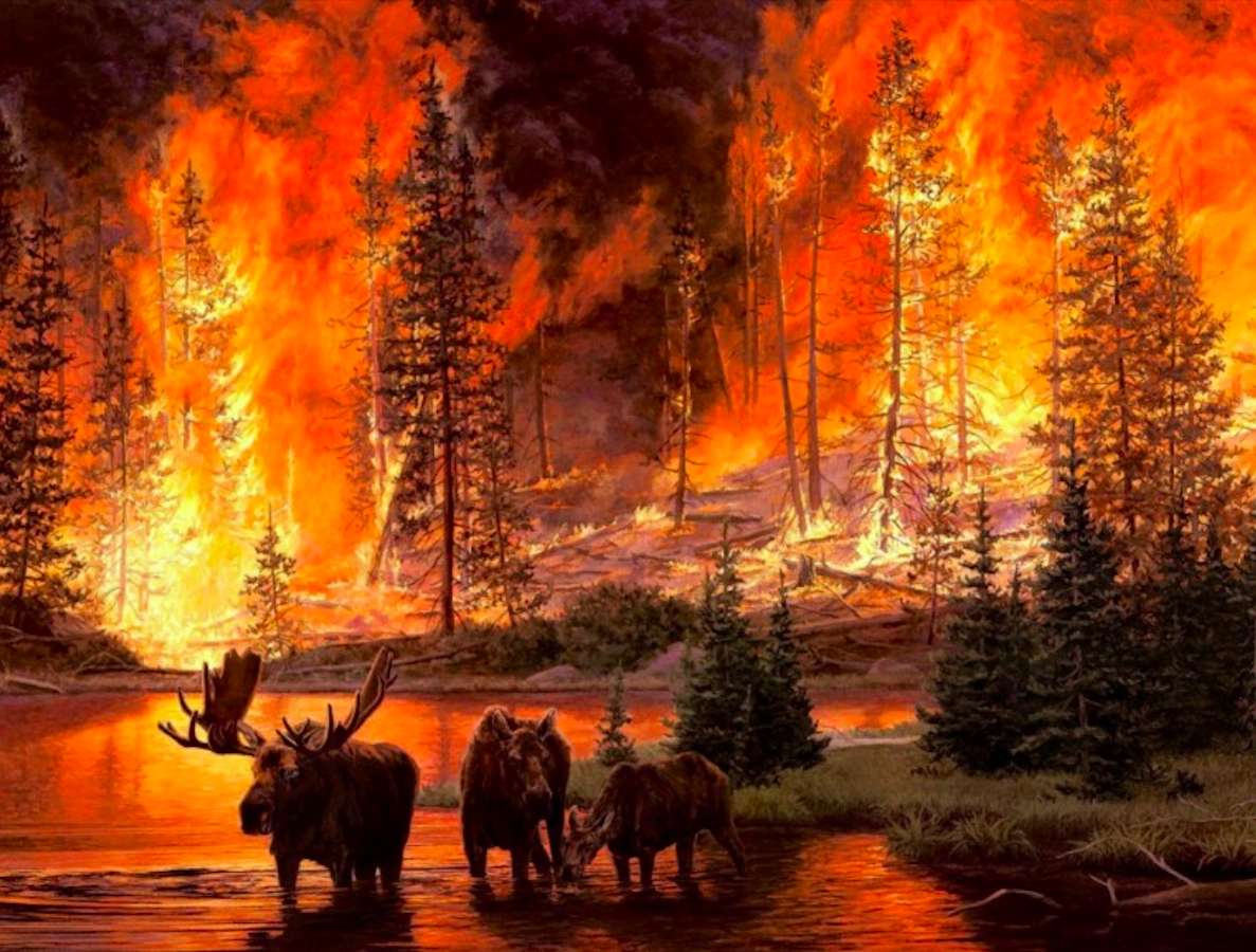 Inferno na Floresta - Drama Animal: ( quebra-cabeças online