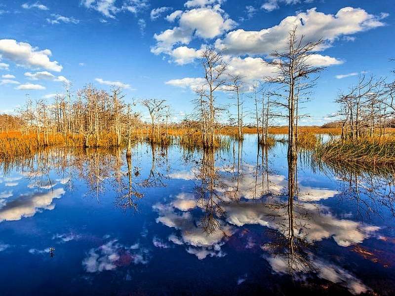 Florida-Everglades -Λευκά σύννεφα online παζλ