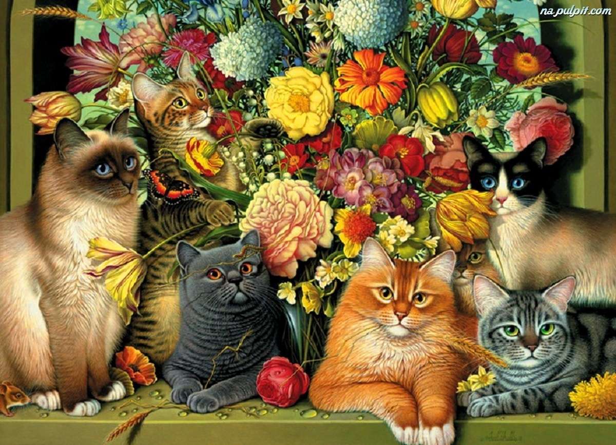 Különböző macskafajták online puzzle