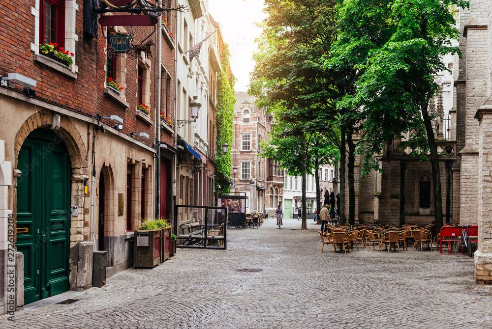 Historic city center Antwerpen online puzzle
