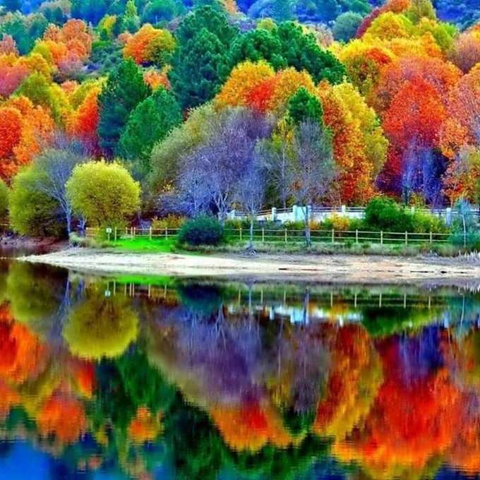 Приказно, цветно, пролетно, есенно :) онлайн пъзел