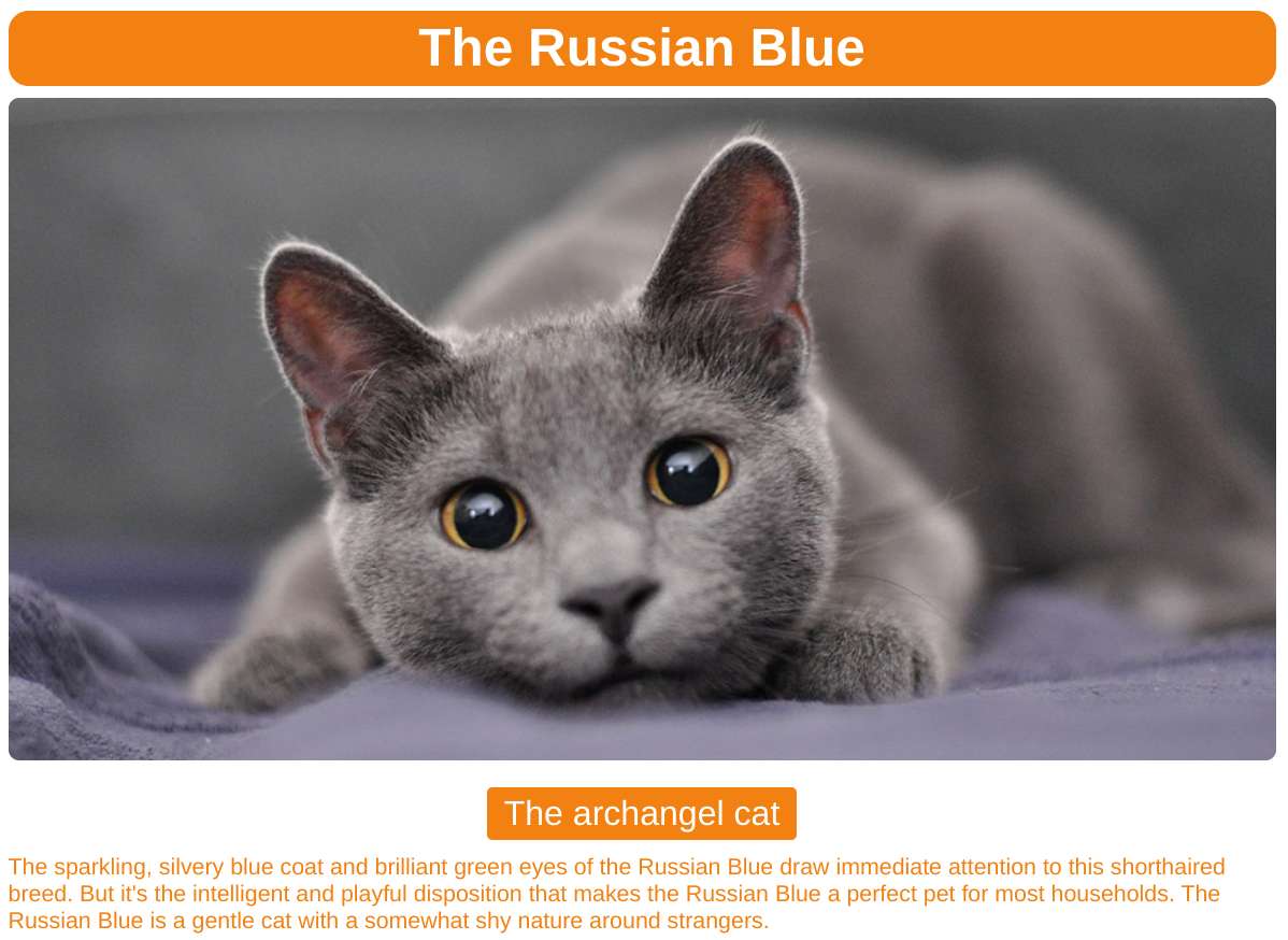 Руската синя котка онлайн пъзел