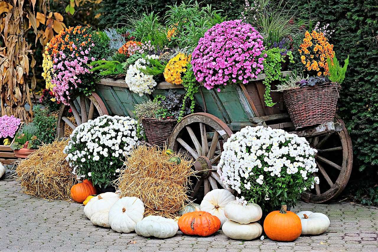 Осеннее украшение в саду онлайн-пазл