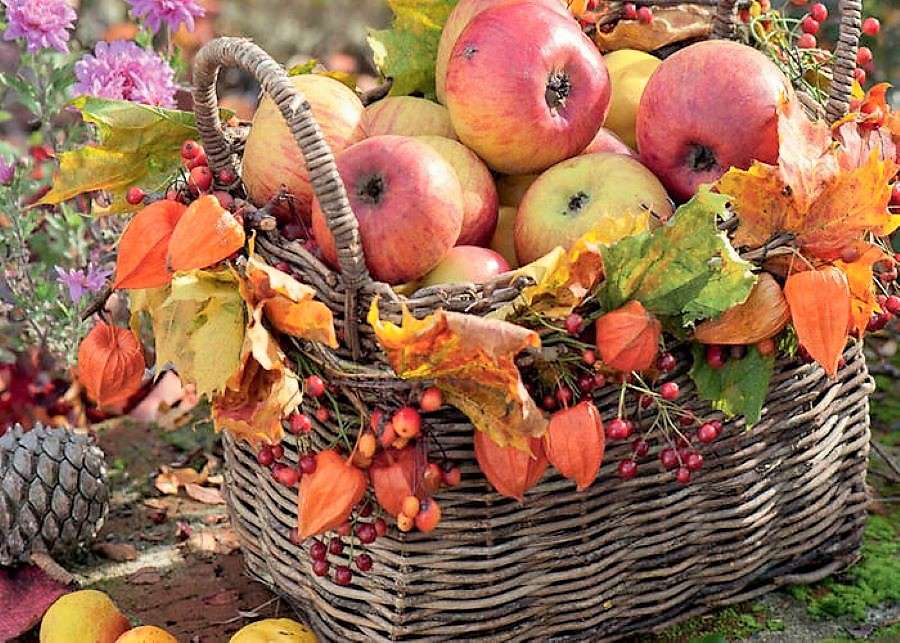 Podzimní dekorace na zahradě online puzzle