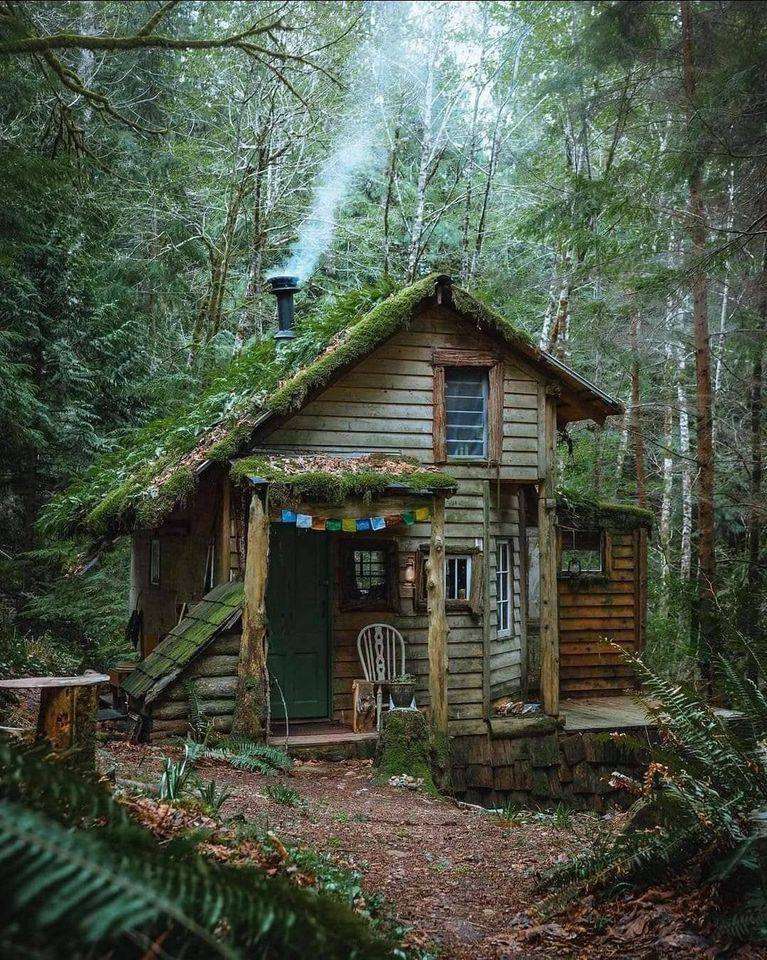 Hut in het bos legpuzzel online
