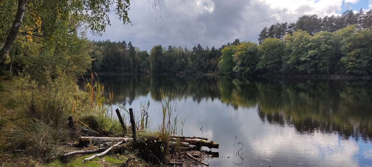 Lac în pădure jigsaw puzzle online
