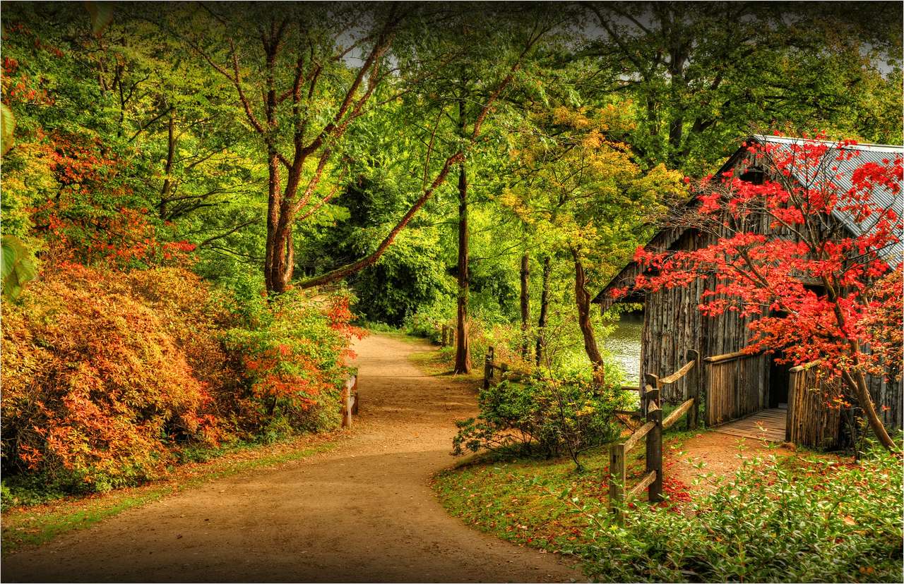 Heure d'automne dans le parc de Londres puzzle en ligne