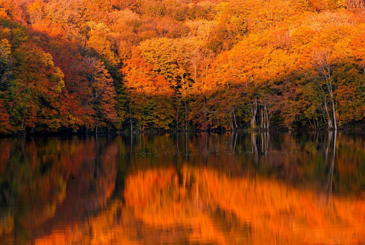Outono dourado no lago quebra-cabeças online