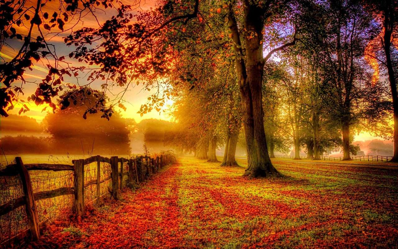 Paysage d'automne avec allée d'arbres et de champs puzzle en ligne