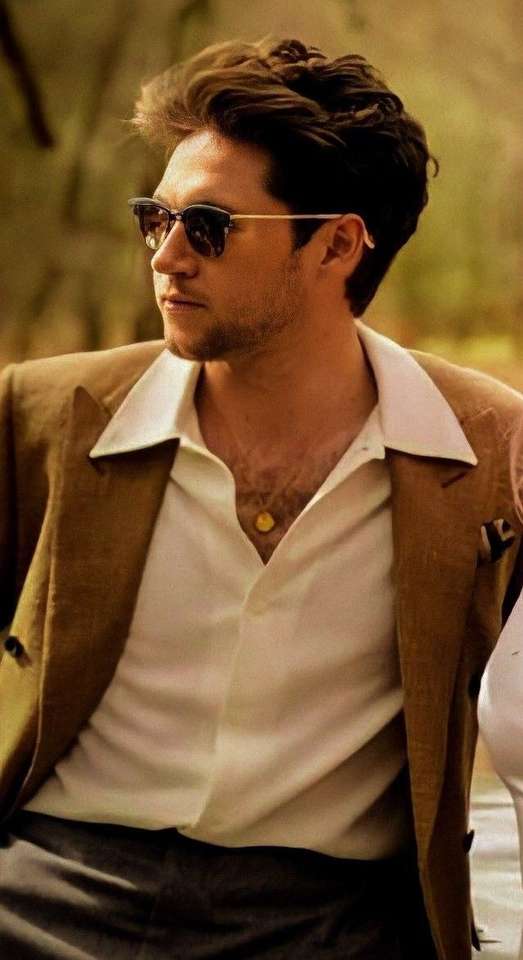 Niall Horan online puzzle