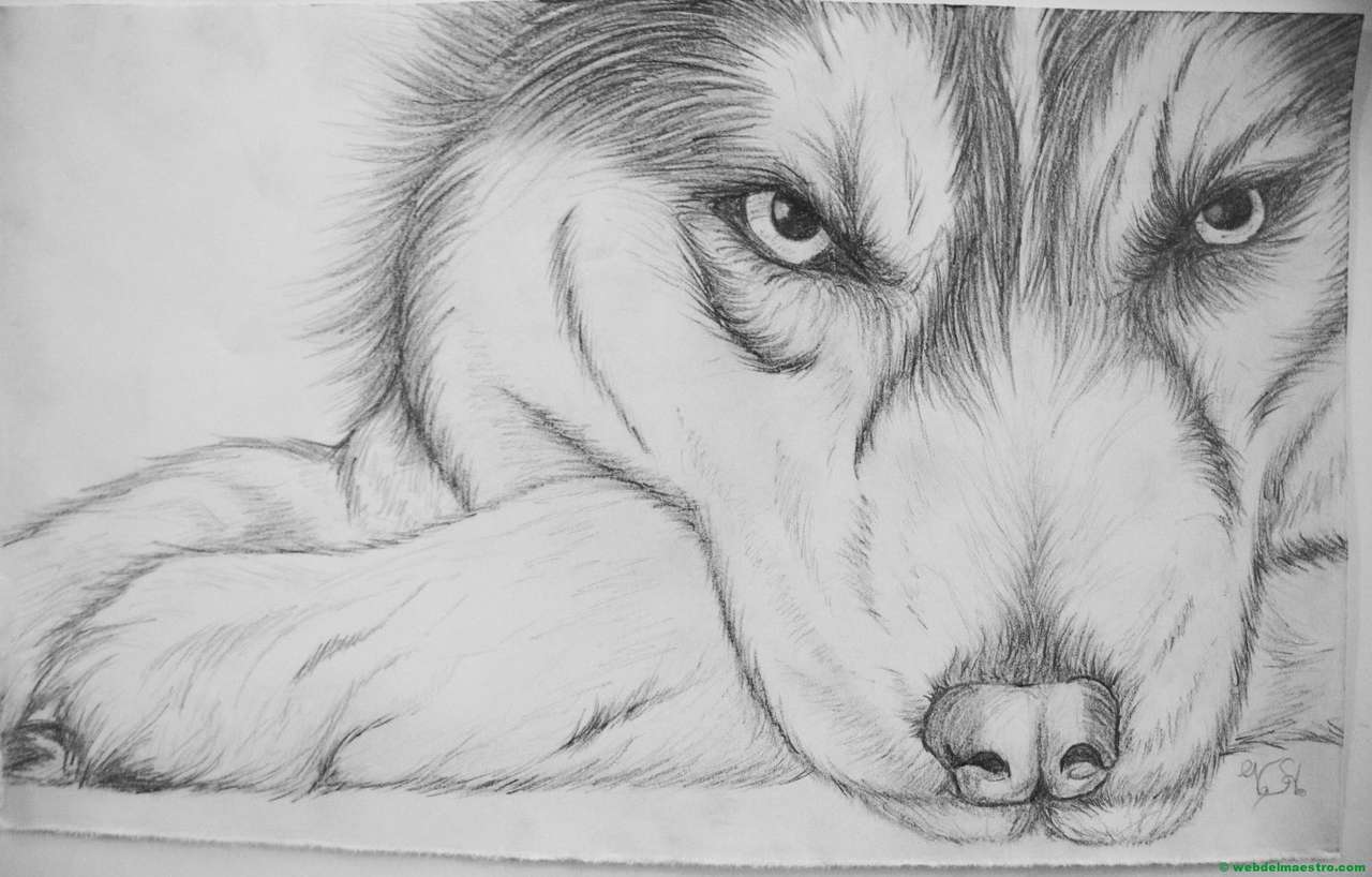 рисунка на вълк онлайн пъзел