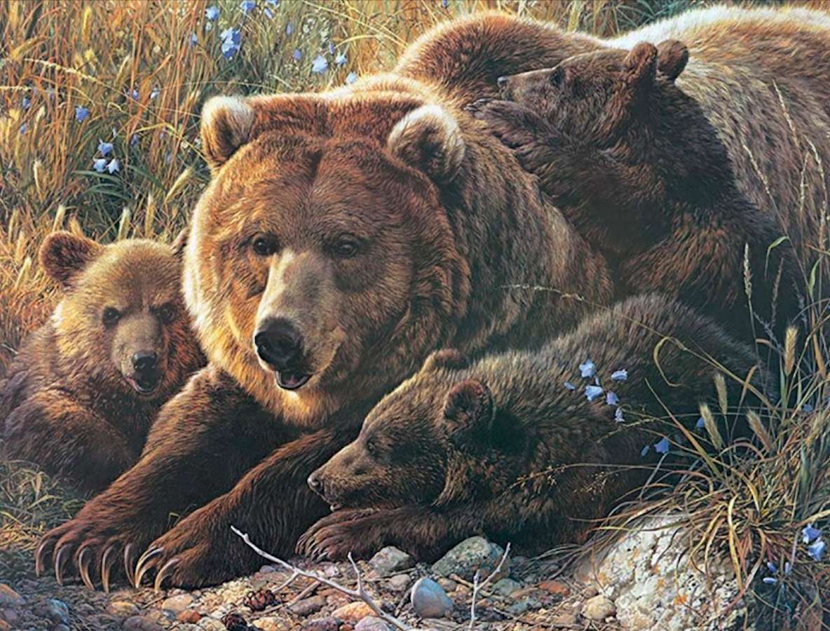 Große Grizzly-Familie Puzzlespiel online
