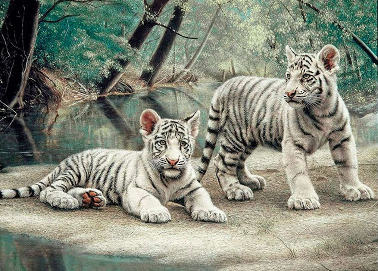 Jonge witte tijgers, lieverds :) legpuzzel online
