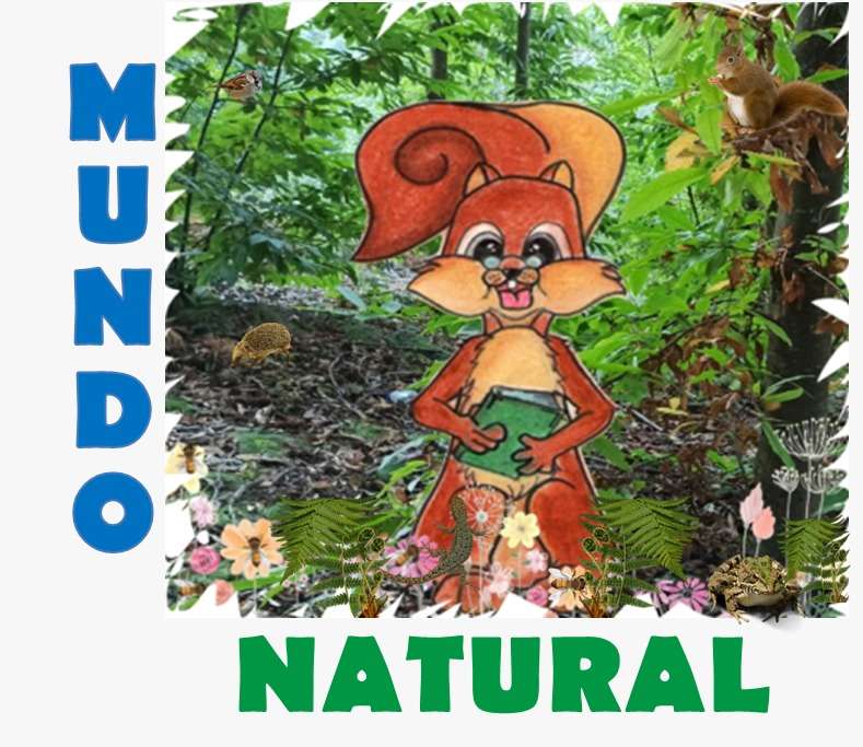 nature jigsaw puzzle online