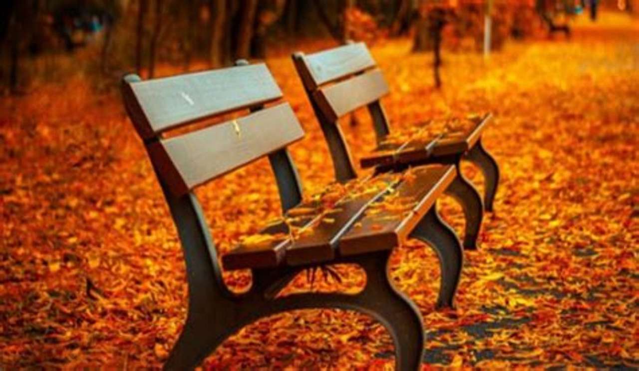 пейка и есен онлайн пъзел