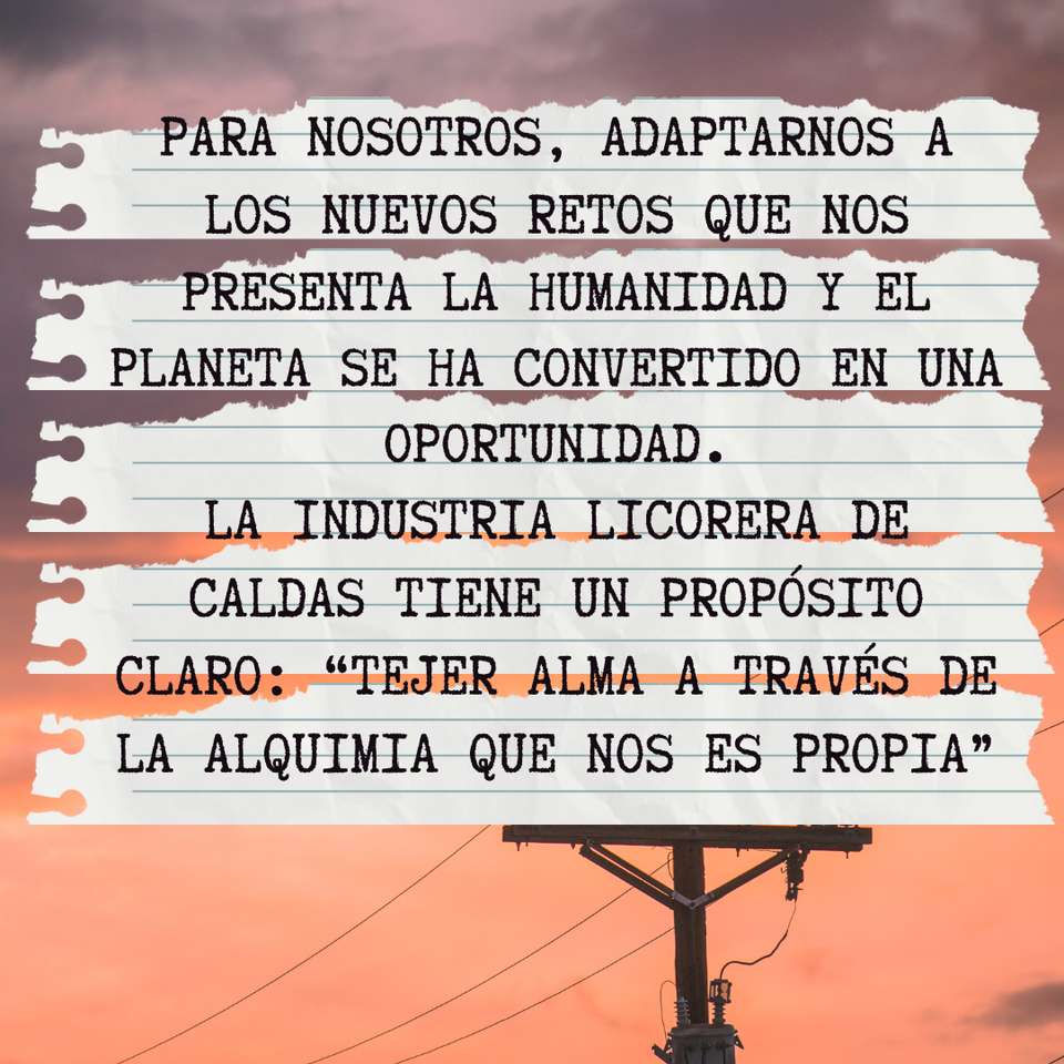 INDUSTRIA LICORERA DE CALDAS rompecabezas en línea