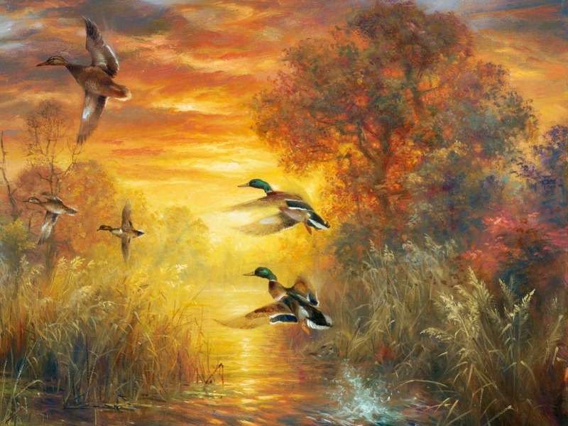 Ducks in the misty wetlands online puzzle