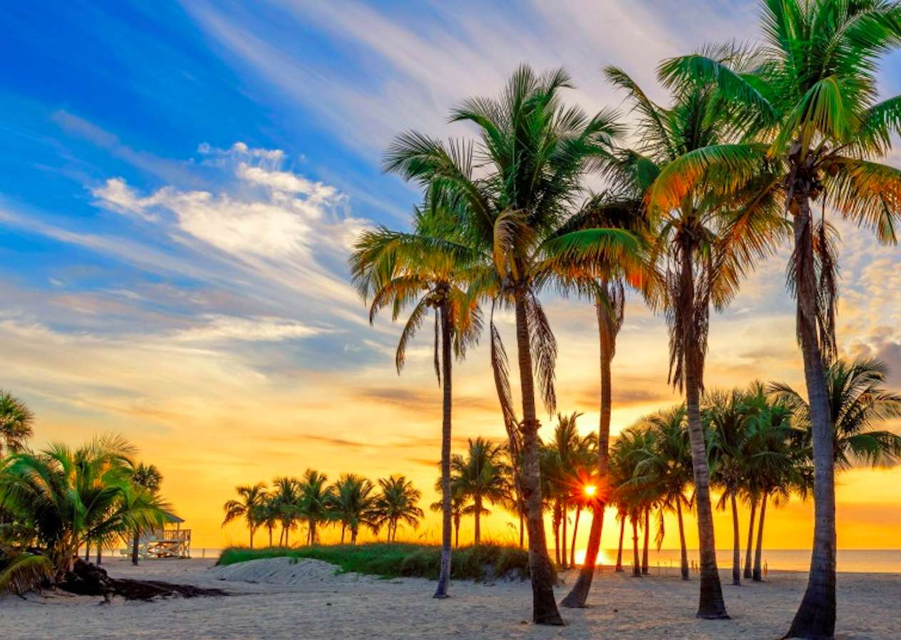Florida Key-Beach por el océano al amanecer. rompecabezas en línea