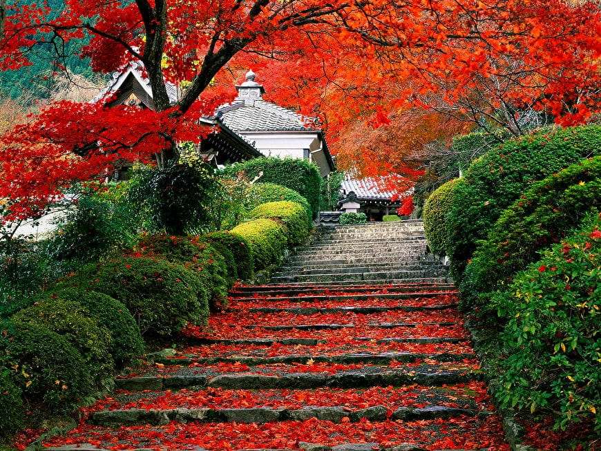 Осінь в Японії пазл онлайн